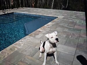 fiberglass pool in south carolina